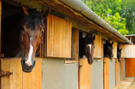 free Llanymawddwy stable construction quotes